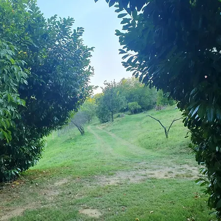 Bacshegyi Vendeghaz 2 Apartmán
